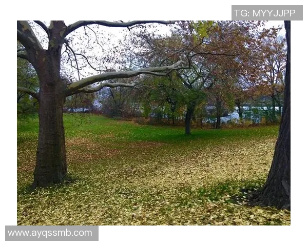潮汕话中的足球明星趣谈与文化交流之旅