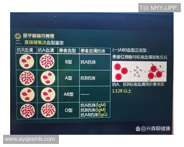 体育明星血型排名揭秘谁是最强血型运动员的秘密与影响 体育明星血型排名揭秘谁是最强血型运动员的秘密与影响
