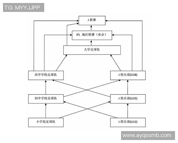 中国足球外围市场的现状分析与未来发展趋势探讨